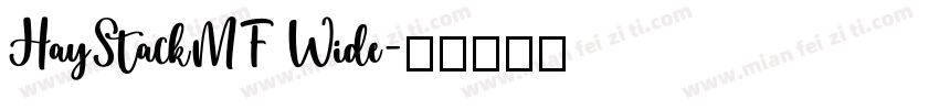 HayStackMF Wide字体转换